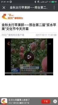 河北电台爆料视频下载  第3张