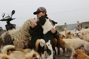 娱乐圈爆料流浪狗  第2张