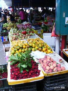 永福县新闻爆料网址,最新动态一网打尽  第2张