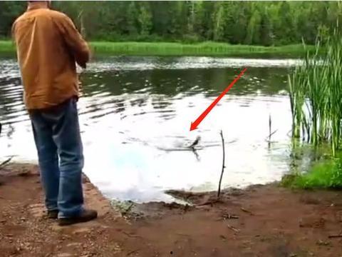 钓鱼爆料视频最新版,揭秘钓鱼技巧与陷阱 第1张 钓鱼爆料视频最新版,揭秘钓鱼技巧与陷阱 第1张